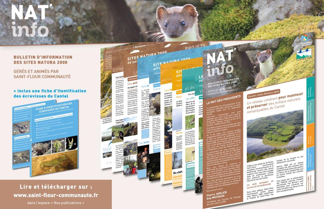 2019 - Nat'info #01.jpg