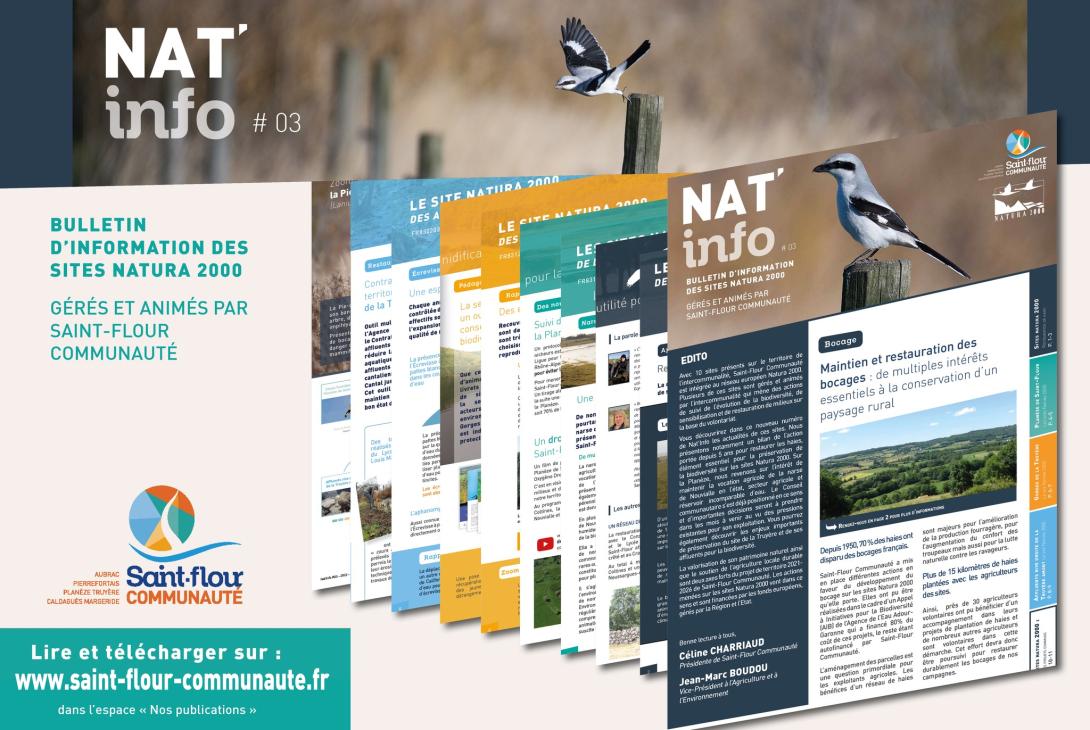 2021 - Nat'info #03.jpg