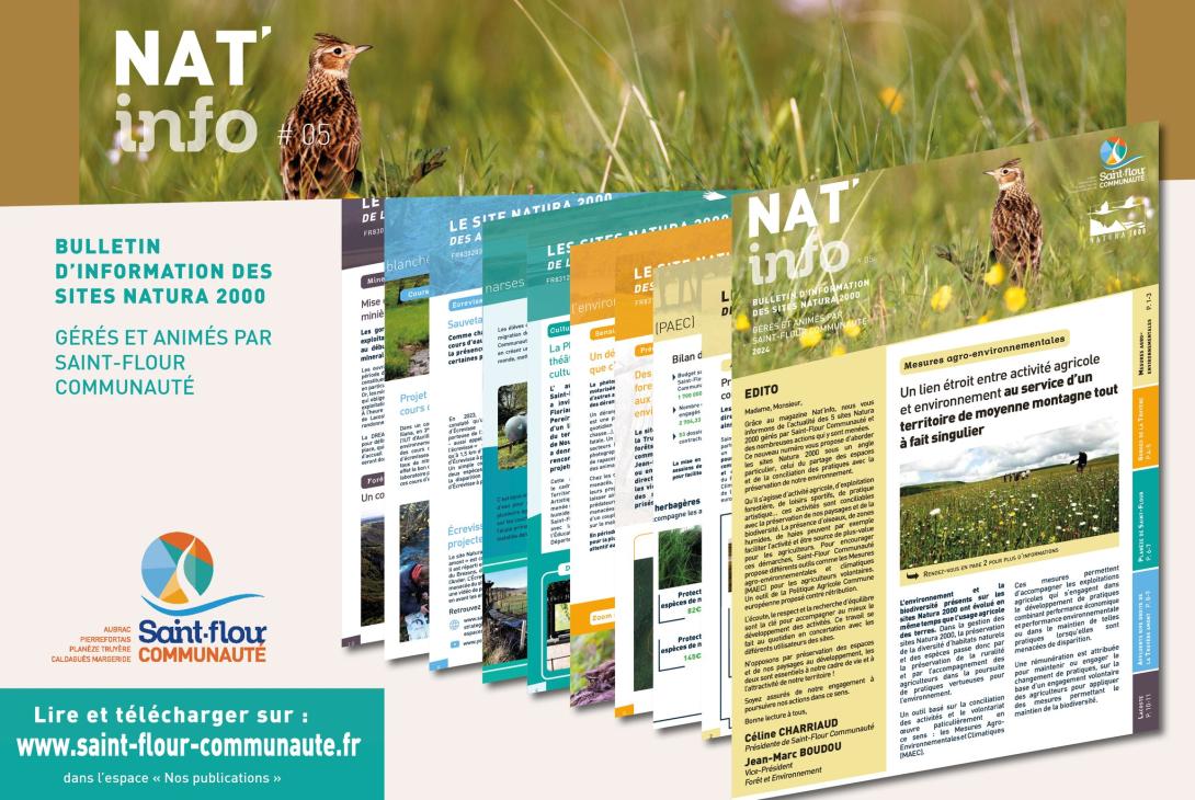 2024 - Nat'info #05.jpg